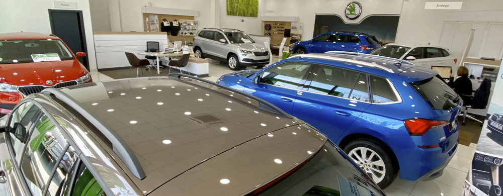 Skoda Nuestras Marcas